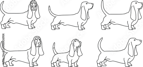 Basset Hound Vector Outline Set with Front and Side Views, Line Art of Long-Eared Dogs, Isolated on White Background for Pet, Animal, and Dog Lover Illustrations