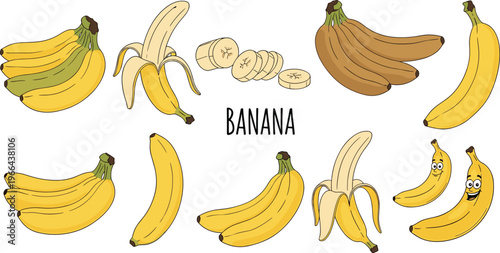 Banana vector set with bunches slices and peeled variations. Fresh and ripe stages illustrated in flat style. Ideal for food design, grocery, packaging, and healthy lifestyle concepts.