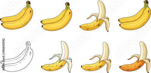 Banana vector set showing ripe stages and peeled variations. Hand drawn and flat style tropical fruit illustrations. Ideal for food design, packaging, grocery, and healthy lifestyle themes.