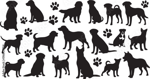 Black silhouettes of dogs and cats on white background illustration