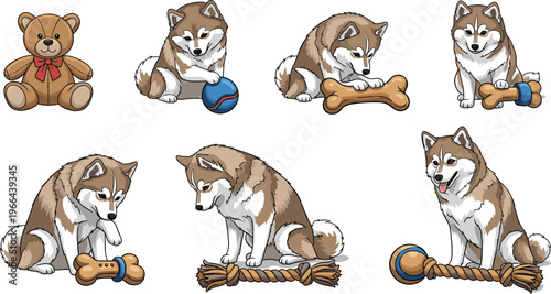 Playful Husky Dog Vector Set with Sitting and Chewing Poses, Teddy Bear, Ball, Bone, and Rope Toys for Children’s Illustrations, Web, Apps, and Print Designs