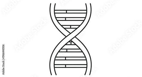 Simple black and white line drawing of a deoxyribonucleic acid double helix structure