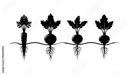 Root Vegetables Growth Silhouette Set Featuring Carrot, Beetroot, Radish, and Turnip with Underground Roots for Organic Farming and Agriculture Design