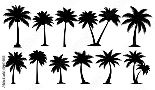 Palm Tree Silhouette Set Featuring Tropical Coconut Trees in Different Shapes for Beach, Summer, Island, Vacation, and Exotic Nature Landscape Design