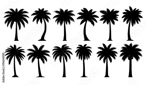 Palm Tree Silhouette Set Featuring Tropical Coconut Trees in Various Shapes for Summer, Beach, Island, Vacation, and Nature Landscape Design