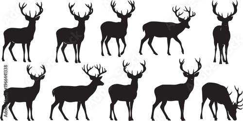 Silhouettes of deer with antlers on white background standing
