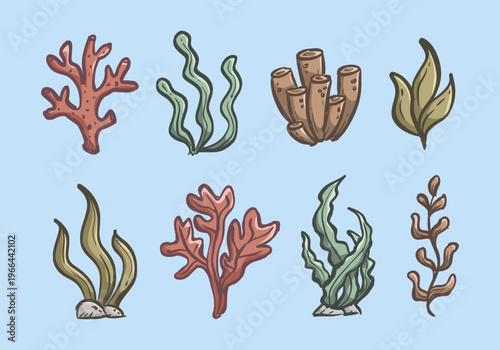 Ocean plants hand drawn illustration set. Coral shapes doodle set. Aquarium seaweed doodle collection. Undersea plants line art sketch elements containing algae, kelp, seaweed, eelgrass, and more.
