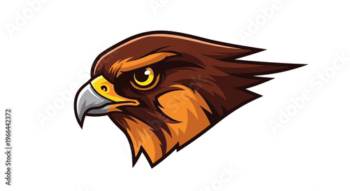 Brown Hawk Bird Head Closeup Profile.