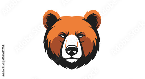 Brown bear head illustration closeup face.