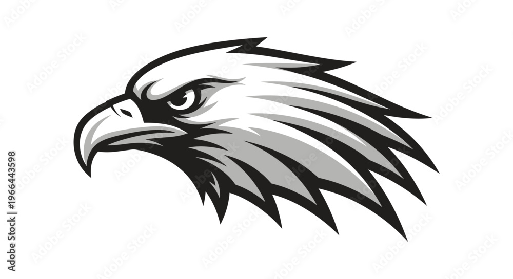 Obraz premium Detailed illustration of an eagle head.