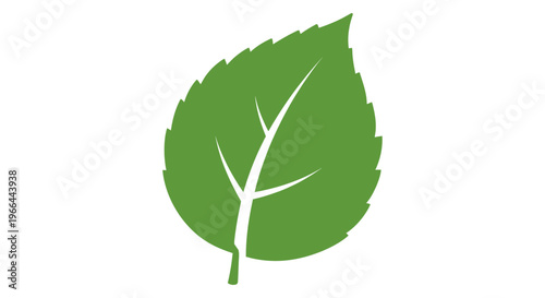 Green leaf with white veins.