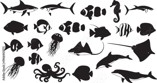 Black silhouettes of various sea creatures on white background
