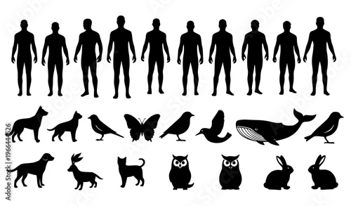 Human and Animal Silhouette Set Featuring Male Body Figures, Dog, Cat, Bird, Butterfly, Whale, Owl, Rabbit, and Wildlife Icons for Nature and Biology Design