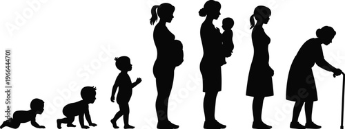 Human life cycle stages silhouette from crawling baby to elderly woman showing growth aging motherhood timeline concept isolated illustration vector