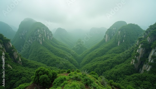 Misty Green Mountain Valley Landscape with Lush Vegetation and Dramatic Foggy Atmosphere