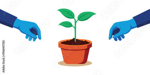 A small young seedling sprout with green leaves grows in a potted houseplant held by a hand isolated on a white background to symbolize new life and gardening growth.