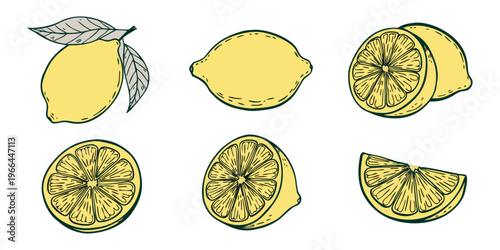 Fresh set of lemons and lime featuring juicy citrus fruit slices and a ripe orange pattern in a healthy yellow vector illustration.