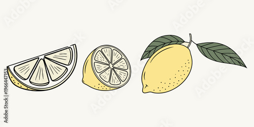 Isolated vector illustration of fresh orange and lemon citrus fruit slices with juicy ripe halves and green leaves on a white background.