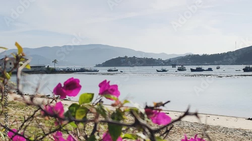 Floral Background features delicate pink bougainvillea petals against misty harbor and distant mountain silhouettes. Soft morning light enhances peaceful tropical bay within this Floral Background.