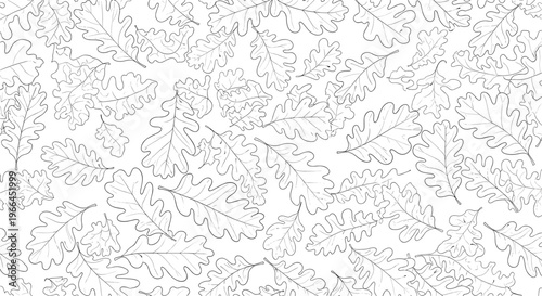 Natural seamless pattern featuring a dense arrangement of detailed oak leaf line drawings, perfect for autumn or forest themed textures.