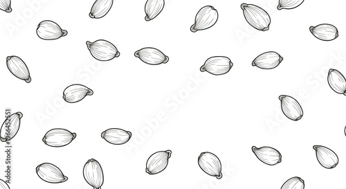 Simple monochrome seamless pattern consisting of detailed line drawings of small seeds or grains scattered on a white background.