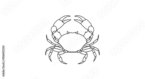 Crab with curved claws forms circular composition on clean white background