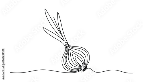 One continuous line illustration of an onion vegetable, isolated on white background.