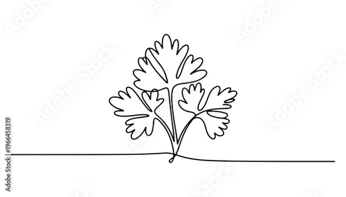 One continuous line illustration of an Coriander vegetable, isolated on white background.