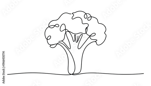 One continuous line illustration of an Broccoli vegetable, isolated on white background.