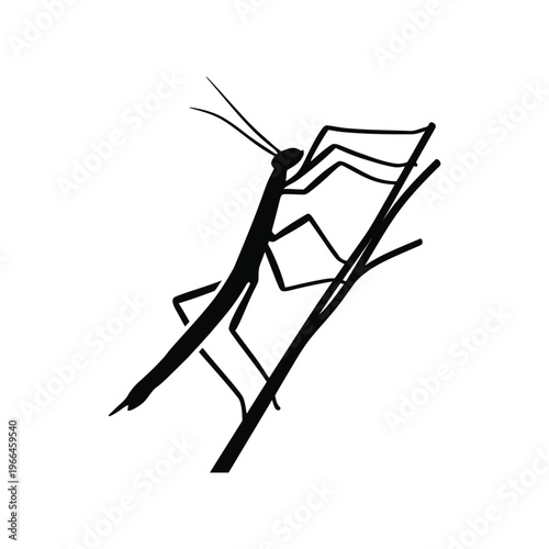 Black silhouette of a praying mantis on a twig insect