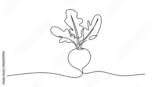 One continuous line illustration of an Radishes vegetable, isolated on white background.