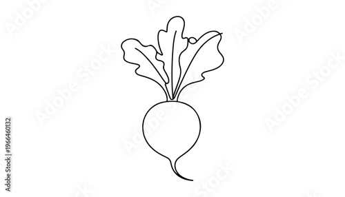 One continuous line illustration of an Radishes vegetable, isolated on white background.