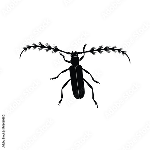 Black silhouette of a beetle with long antennae on white background insect