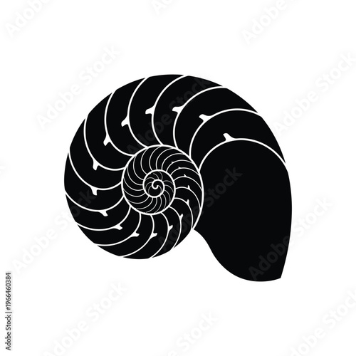 Black nautilus shell with white spiral lines on white background