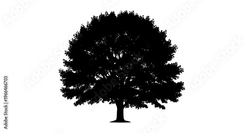 Black silhouette of a tree with lush foliage
