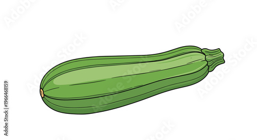 Long fresh green zucchini squash with its stem attached is illustrated with subtle highlights and shadows on a white background.