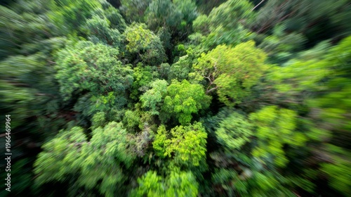 Lush Green Canopy Aerial View of Vibrant Forest Ecosystem.