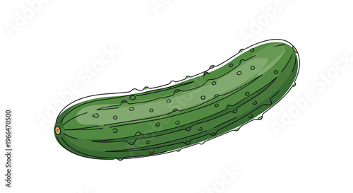 Single long green cucumber with a bumpy skin texture and small white spines isolated on a white background.