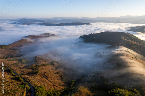 Landscape of Morning Mist with Mountain Layer. mountain ridge and clouds in rural jungle bush forest