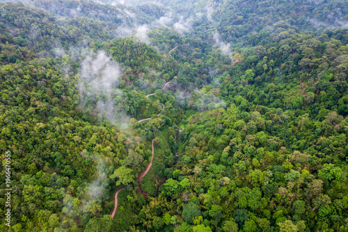 Landscape of Morning Mist with Mountain Layer. mountain ridge and clouds in rural jungle bush forest