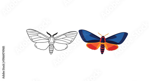 Colorful vector illustration of two moths with different designs and patterns on their wings