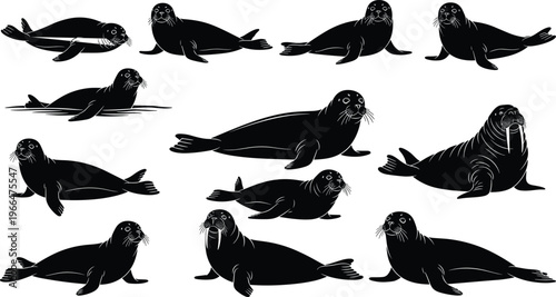 Large collection of black seal and walrus silhouettes isolated on white background featuring various marine life poses for arctic wildlife and ocean conservation.