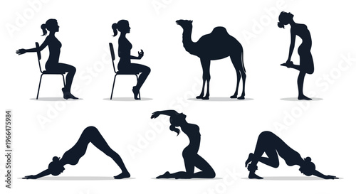 Yoga poses and camel silhouette against white background vector illustration