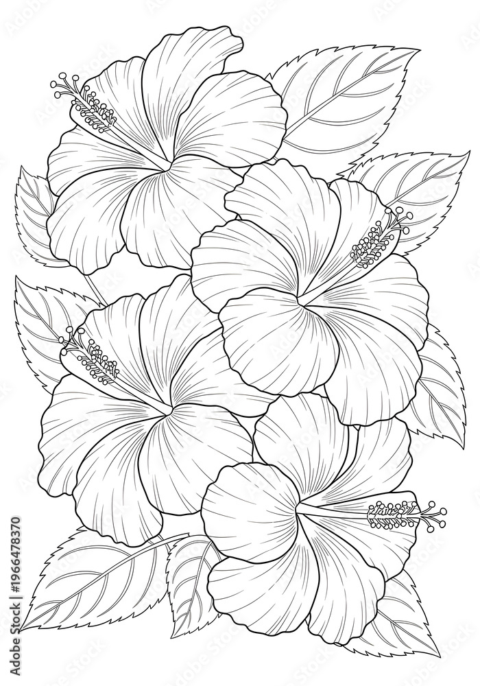 Fototapeta premium Hibiscus flowers cluster with detailed petals and leaves in elegant botanical arrangement coloring page