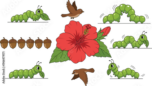 Nature lifecycle vector illustration set with green caterpillar stages, flying birds, brown chrysalis cocoons, and red hibiscus flower isolated collection
