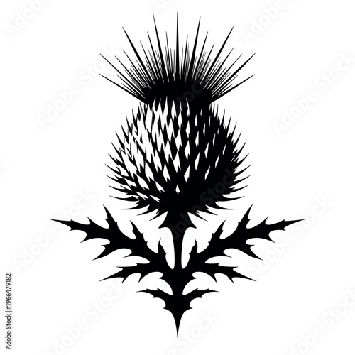 Vector illustration of a brown prickly hedgehog surrounded by dry thistle plants and natural elements in a close-up isolated style