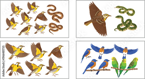 Wildlife vector illustration set with flying birds, sparrows, colorful parrots and budgerigars, and coiled snakes isolated animal collection