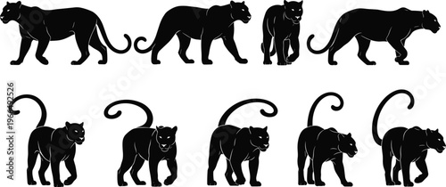Black panther silhouette vector, wild cat illustration, jungle predator design, wildlife animal art, walking panther pose collection, big cat graphic set