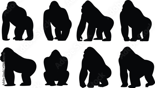 Collection of eight black gorilla silhouettes in various poses on a white background primate animal