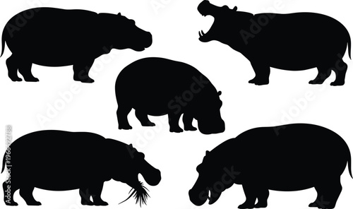 Collection of black silhouettes of hippopotamuses in various poses on a white background animal wildlife